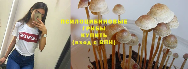 MESCALINE Аркадак