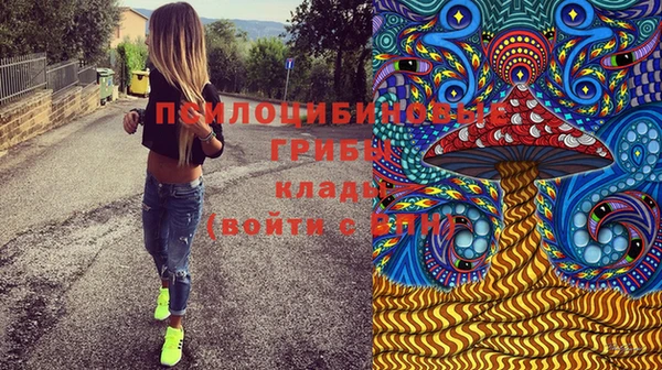 MESCALINE Аркадак