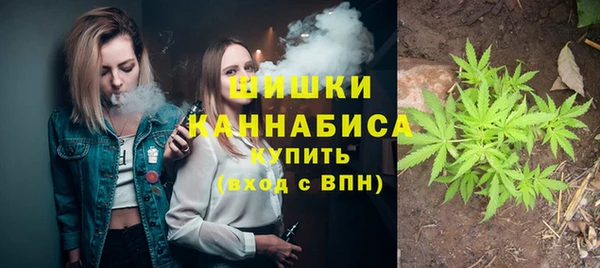 шишки Баксан