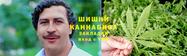 спиды Пересвет