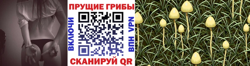 Псилоцибиновые грибы GOLDEN TEACHER Протвино